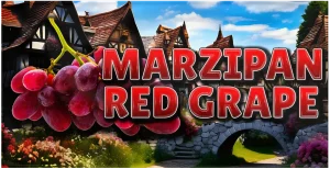 З ЧЕРВОНИМ ВИНОГРАДОМ